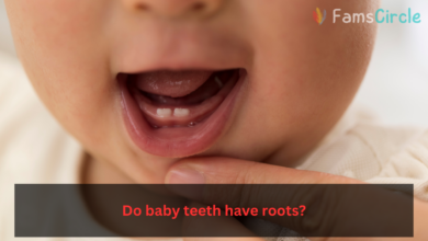 Do baby teeth have roots